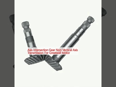 Μη κατακόρυφη μετάδοση άξονα διασταύρωσης για κινητήρα Greatwall